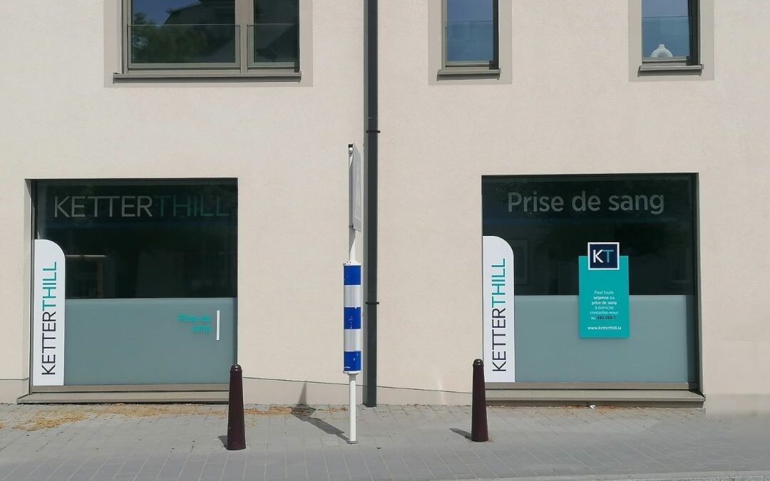 Nouveau : Steinsel